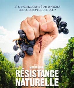 O que é o vinho natural e 8 razões para virar fã incondicional